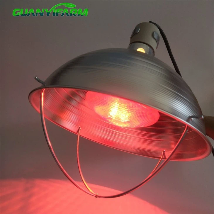 Light Lampshade