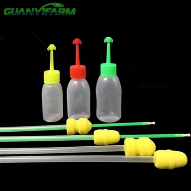 Pig phev lub raj mis