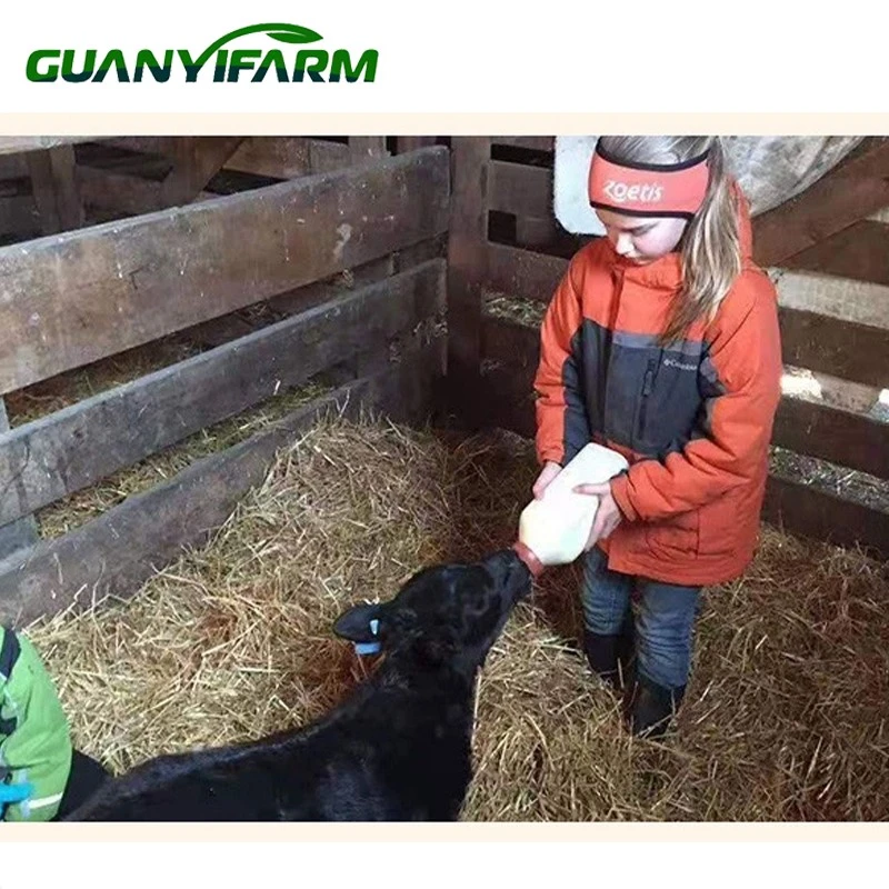 Application of feeding nipple for calf Application of feeding nipple for calf