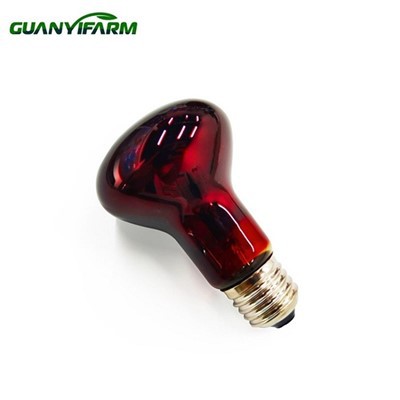 150 Watt Reptile Noob