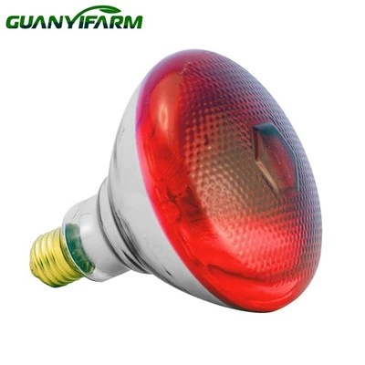 250 Watt Kub Teeb