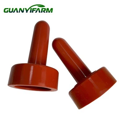 Pub txiv mis rau cov yaj